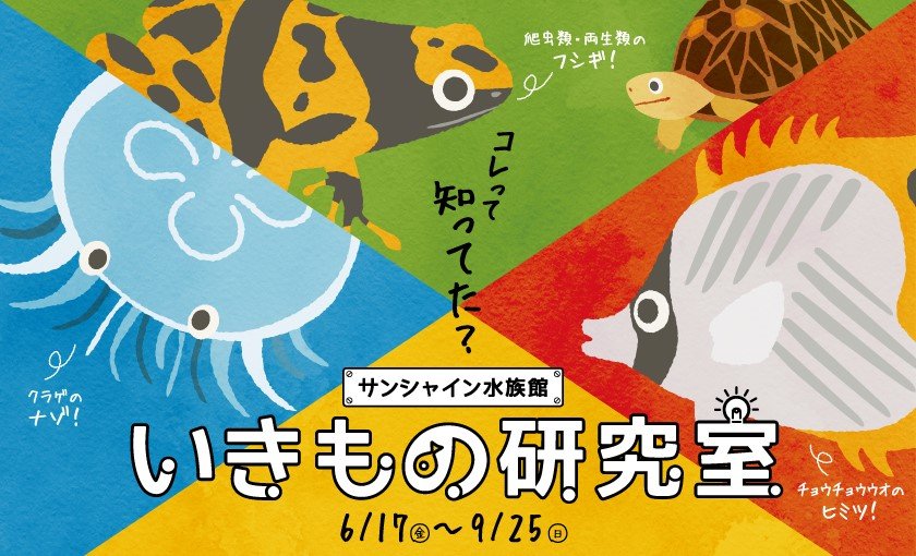 サンシャイン水族館で いきもの研究室 が開催中 22年9月25日まで 池袋タイムズ