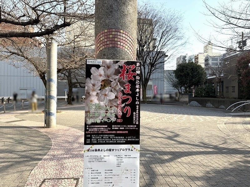 駒込の染井吉野桜記念公園で「第23回 染井よしの桜まつり」開催！2025