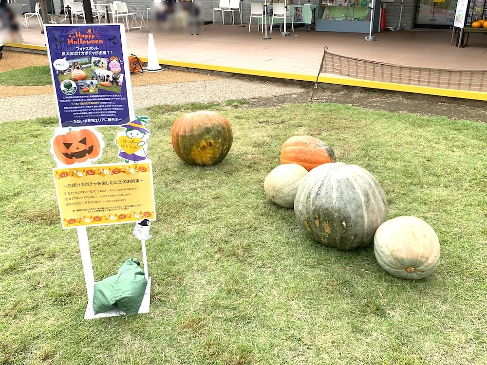 フォトスポット】イケ・サンパークに巨大おばけカボチャが出現