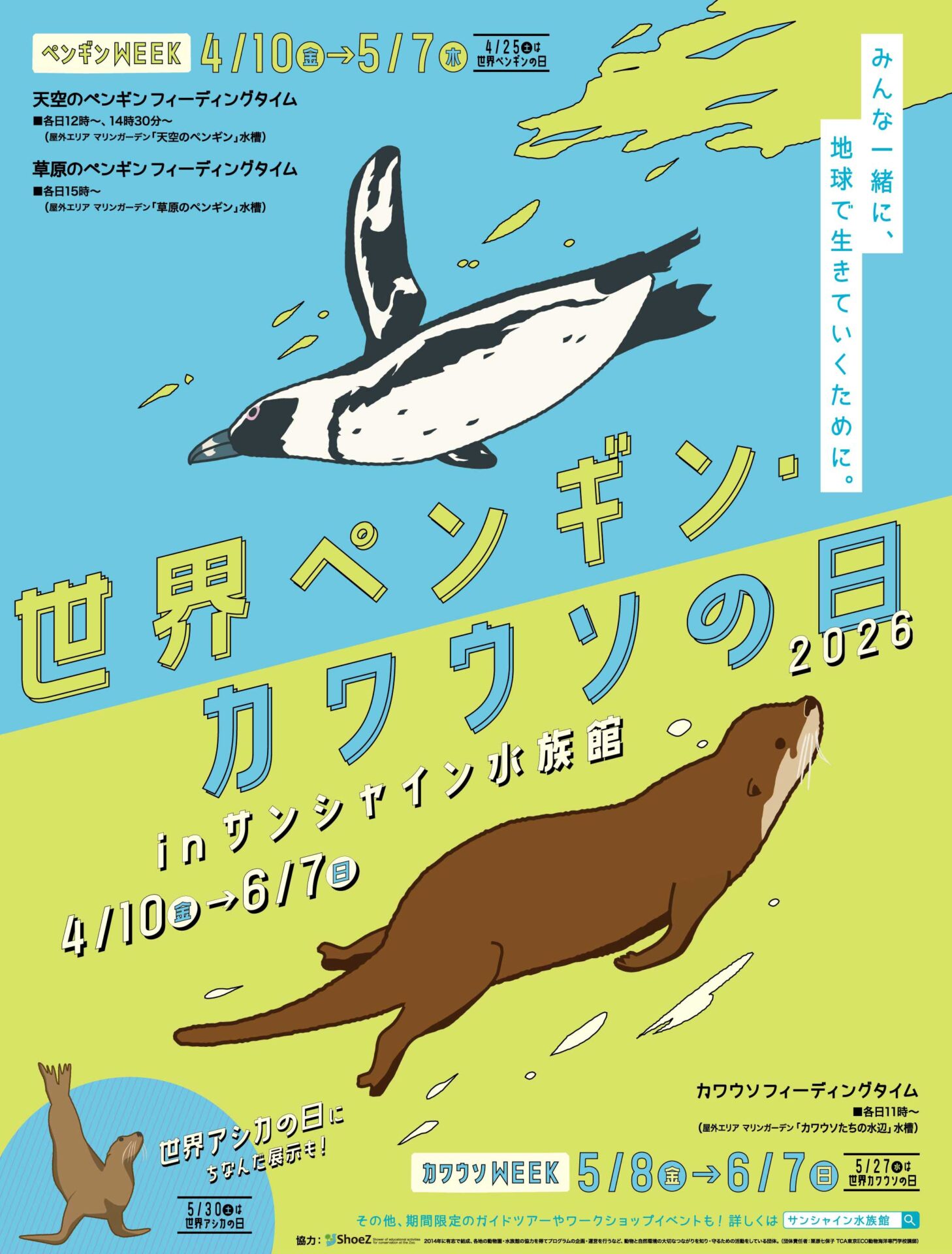 サンシャイン水族館で「世界ペンギン・カワウソの日」開催。2026年4月