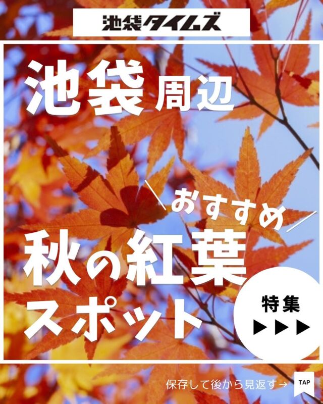 🍁
池袋周辺の紅葉スポットをまとめました

※最新情報は公式情報でご確認ください。

① 目白庭園
📍豊島区目白3-20-18

② イケ・サンパーク
📍豊島区東池袋4-42

③ てんぼうパーク （サンシャイン60展望台）
📍サンシャインシティ サンシャイン60ビル 60F 

=================================
 
このアカウントでは、池袋（豊島区）に特化したグルメ情報をメインに発信！
 
@ikebukuro.times
 
=================================

#紅葉 #ピクニック #公園ランチ #池袋 #池袋グルメ #池袋ランチ #おすすめスポット #池袋カフェ #池袋タイムズ #池袋駅 #東京グルメ #東京ランチ#東京カフェ